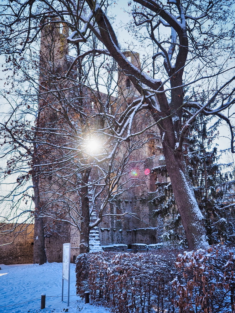 der "hohe Schwarm" in Saalfeld
