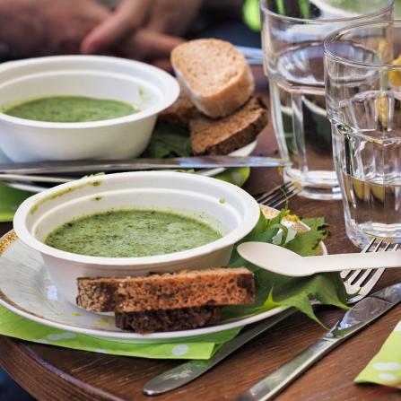 feine Wildkräutersuppe