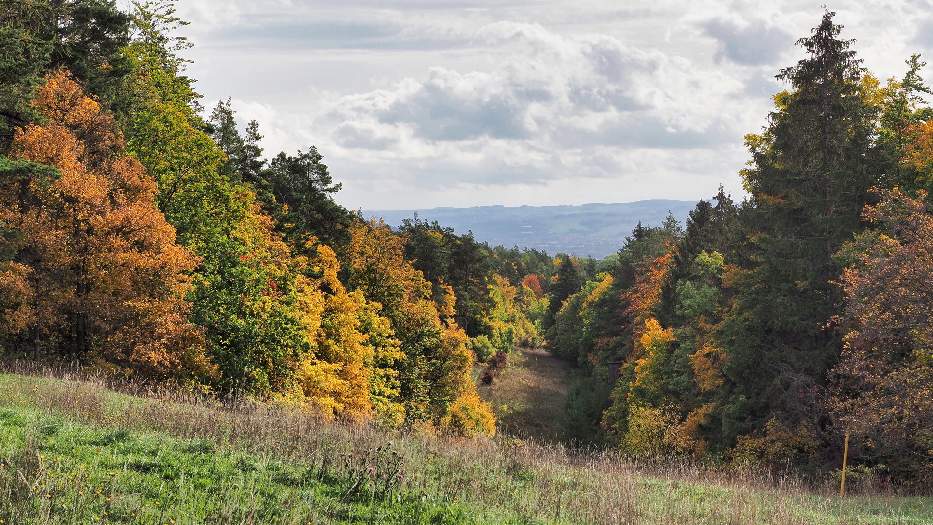 herbstliches Farbenspiel